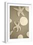 Starfish and Sand Dollars I-Karyn Millet-Framed Photographic Print
