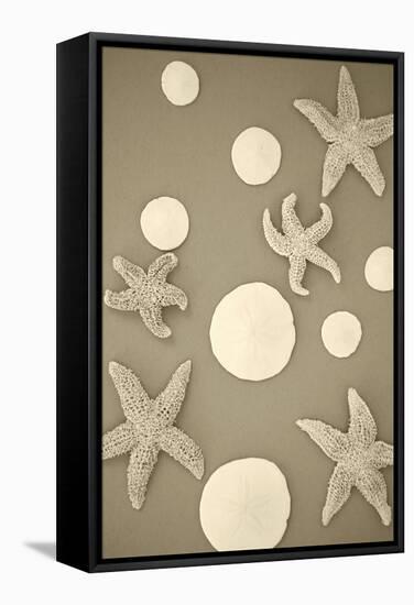 Starfish and Sand Dollars II-Karyn Millet-Framed Stretched Canvas