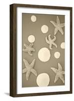 Starfish and Sand Dollars II-Karyn Millet-Framed Photographic Print