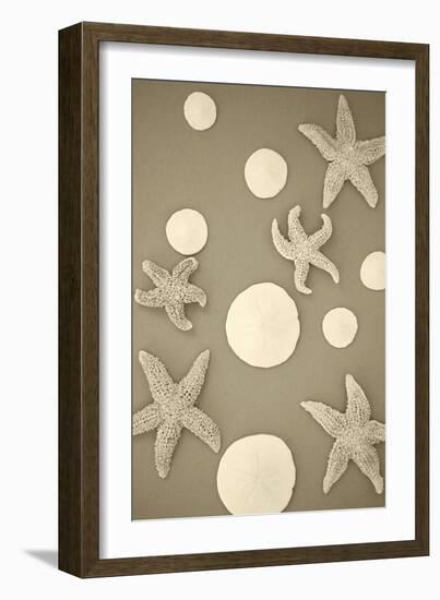 Starfish and Sand Dollars II-Karyn Millet-Framed Photographic Print