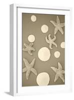 Starfish and Sand Dollars II-Karyn Millet-Framed Photographic Print