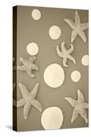 Starfish and Sand Dollars II-Karyn Millet-Stretched Canvas