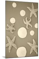 Starfish and Sand Dollars II-Karyn Millet-Mounted Photographic Print
