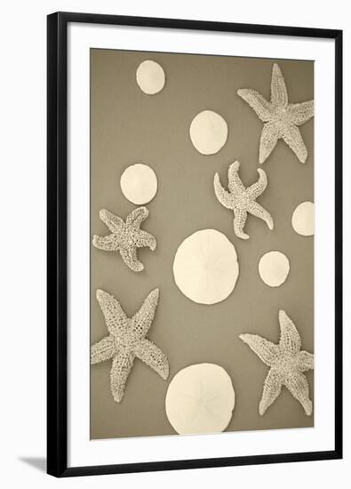 Starfish and Sand Dollars II-Karyn Millet-Framed Photographic Print