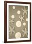 Starfish and Sand Dollars II-Karyn Millet-Framed Photographic Print