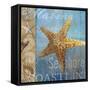 Starfish and sea-null-Framed Stretched Canvas
