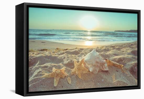 Starfish and Shells on the Beach at Sunrise-Deyan Georgiev-Framed Stretched Canvas