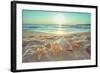 Starfish and Shells on the Beach at Sunrise-Deyan Georgiev-Framed Photographic Print