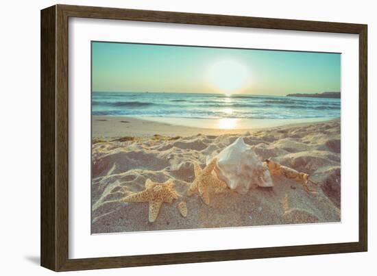 Starfish and Shells on the Beach at Sunrise-Deyan Georgiev-Framed Photographic Print