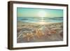 Starfish and Shells on the Beach at Sunrise-Deyan Georgiev-Framed Photographic Print