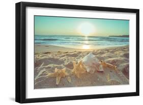 Starfish and Shells on the Beach at Sunrise-Deyan Georgiev-Framed Photographic Print