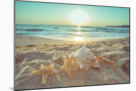 Starfish and Shells on the Beach at Sunrise-Deyan Georgiev-Mounted Photographic Print