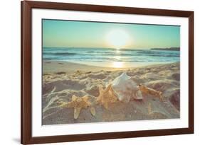 Starfish and Shells on the Beach at Sunrise-Deyan Georgiev-Framed Photographic Print