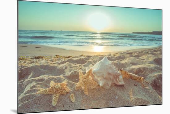 Starfish and Shells on the Beach at Sunrise-Deyan Georgiev-Mounted Photographic Print