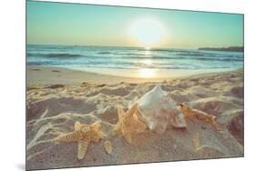 Starfish and Shells on the Beach at Sunrise-Deyan Georgiev-Mounted Photographic Print