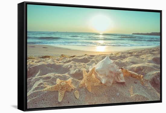 Starfish and Shells on the Beach at Sunrise-Deyan Georgiev-Framed Stretched Canvas