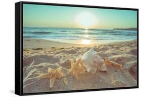 Starfish and Shells on the Beach at Sunrise-Deyan Georgiev-Framed Stretched Canvas