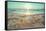 Starfish and Shells on the Beach at Sunrise-Deyan Georgiev-Framed Stretched Canvas