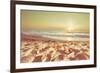 Starfish and Shells on the Beach at Sunrise-Deyan Georgiev-Framed Photographic Print