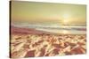 Starfish and Shells on the Beach at Sunrise-Deyan Georgiev-Stretched Canvas