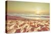 Starfish and Shells on the Beach at Sunrise-Deyan Georgiev-Stretched Canvas