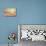 Starfish and Shells on the Beach at Sunrise-Deyan Georgiev-Photographic Print displayed on a wall