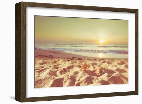 Starfish and Shells on the Beach at Sunrise-Deyan Georgiev-Framed Photographic Print