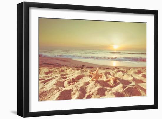 Starfish and Shells on the Beach at Sunrise-Deyan Georgiev-Framed Photographic Print