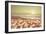 Starfish and Shells on the Beach at Sunrise-Deyan Georgiev-Framed Photographic Print