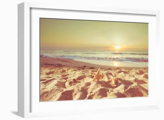 Starfish and Shells on the Beach at Sunrise-Deyan Georgiev-Framed Photographic Print