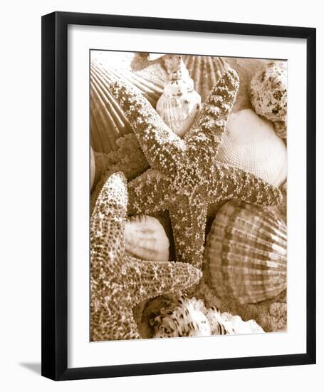 Starfish and Shells-null-Framed Art Print