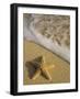 Starfish and Surf of Makena Beach, Maui, Hawaii, USA-Darrell Gulin-Framed Photographic Print