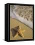 Starfish and Surf of Makena Beach, Maui, Hawaii, USA-Darrell Gulin-Framed Stretched Canvas