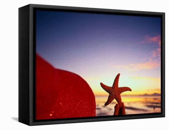 Starfish at Sunrise, Papua New Guinea-Stuart Westmorland-Framed Stretched Canvas