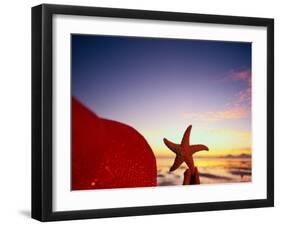 Starfish at Sunrise, Papua New Guinea-Stuart Westmorland-Framed Photographic Print