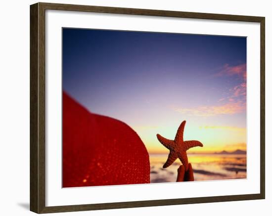 Starfish at Sunrise, Papua New Guinea-Stuart Westmorland-Framed Photographic Print