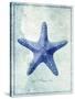 Starfish B-GI ArtLab-Stretched Canvas