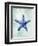 Starfish B-GI ArtLab-Framed Premium Giclee Print