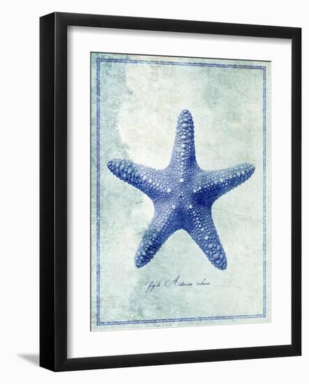 Starfish B-GI ArtLab-Framed Giclee Print