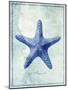 Starfish B-GI ArtLab-Mounted Giclee Print