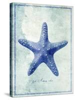 Starfish B-GI ArtLab-Stretched Canvas