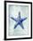 Starfish B-GI ArtLab-Framed Giclee Print