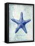 Starfish B-GI ArtLab-Framed Stretched Canvas