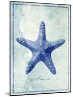 Starfish B-GI ArtLab-Mounted Premium Giclee Print