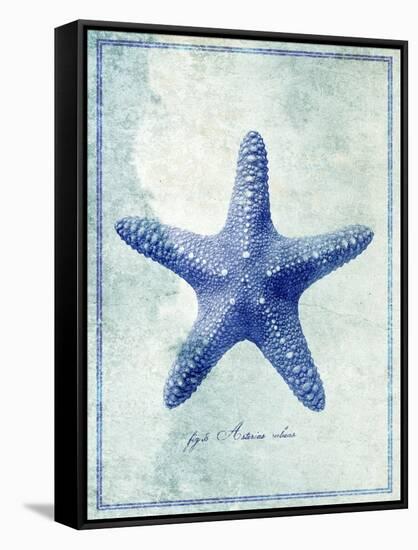 Starfish B-GI ArtLab-Framed Stretched Canvas