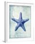 Starfish B-GI ArtLab-Framed Giclee Print