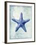 Starfish B-GI ArtLab-Framed Giclee Print