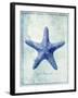 Starfish B-GI ArtLab-Framed Giclee Print