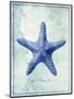 Starfish B-GI ArtLab-Mounted Giclee Print