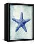 Starfish B-GI ArtLab-Framed Stretched Canvas